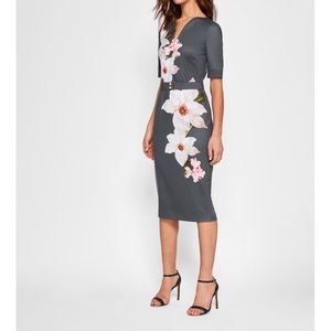 Ted Baker Bisslee Chatsworth Floral Print Bodycon Dress